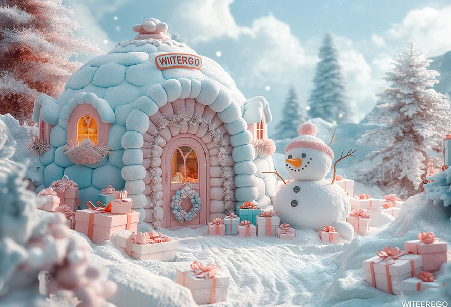 Winter Snowman Igloo Backdrop Kids Baby Cake Smash Photography Props Child Adult Birthday Photo Shoot Backgrounds