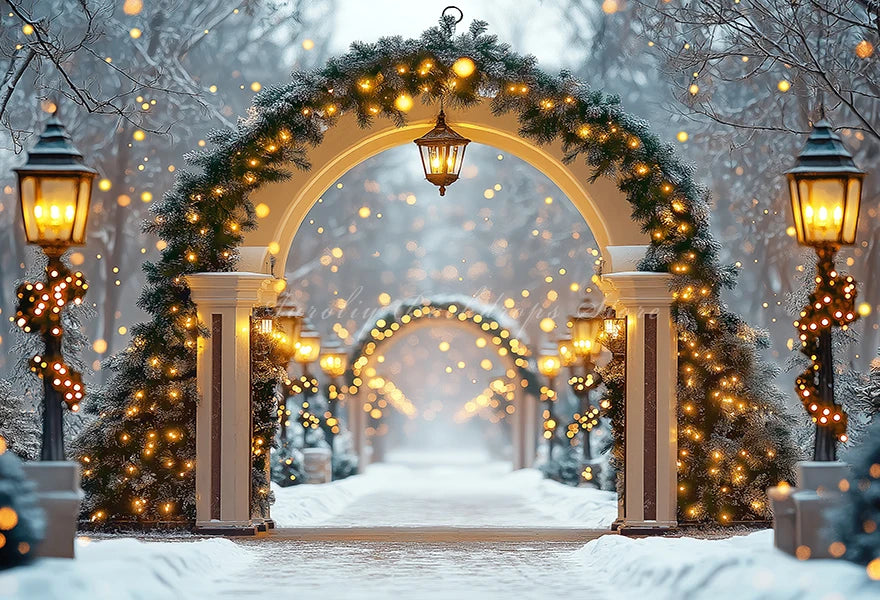 Christmas Backdrop With White Arched Garland Photography Backdrop Winter Snowy Baby Kids Portrait Family Photocall Backgrounds