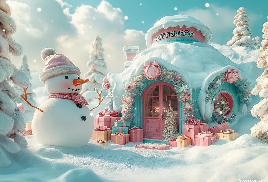 Winter Snowman Igloo Backdrop Kids Baby Cake Smash Photography Props Child Adult Birthday Photo Shoot Backgrounds