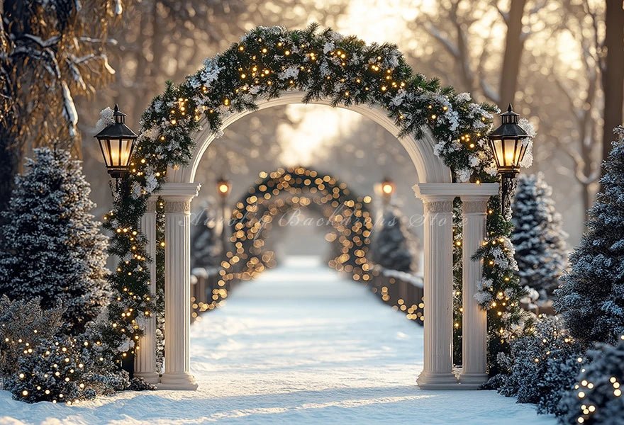 Christmas Backdrop With White Arched Garland Photography Backdrop Winter Snowy Baby Kids Portrait Family Photocall Backgrounds