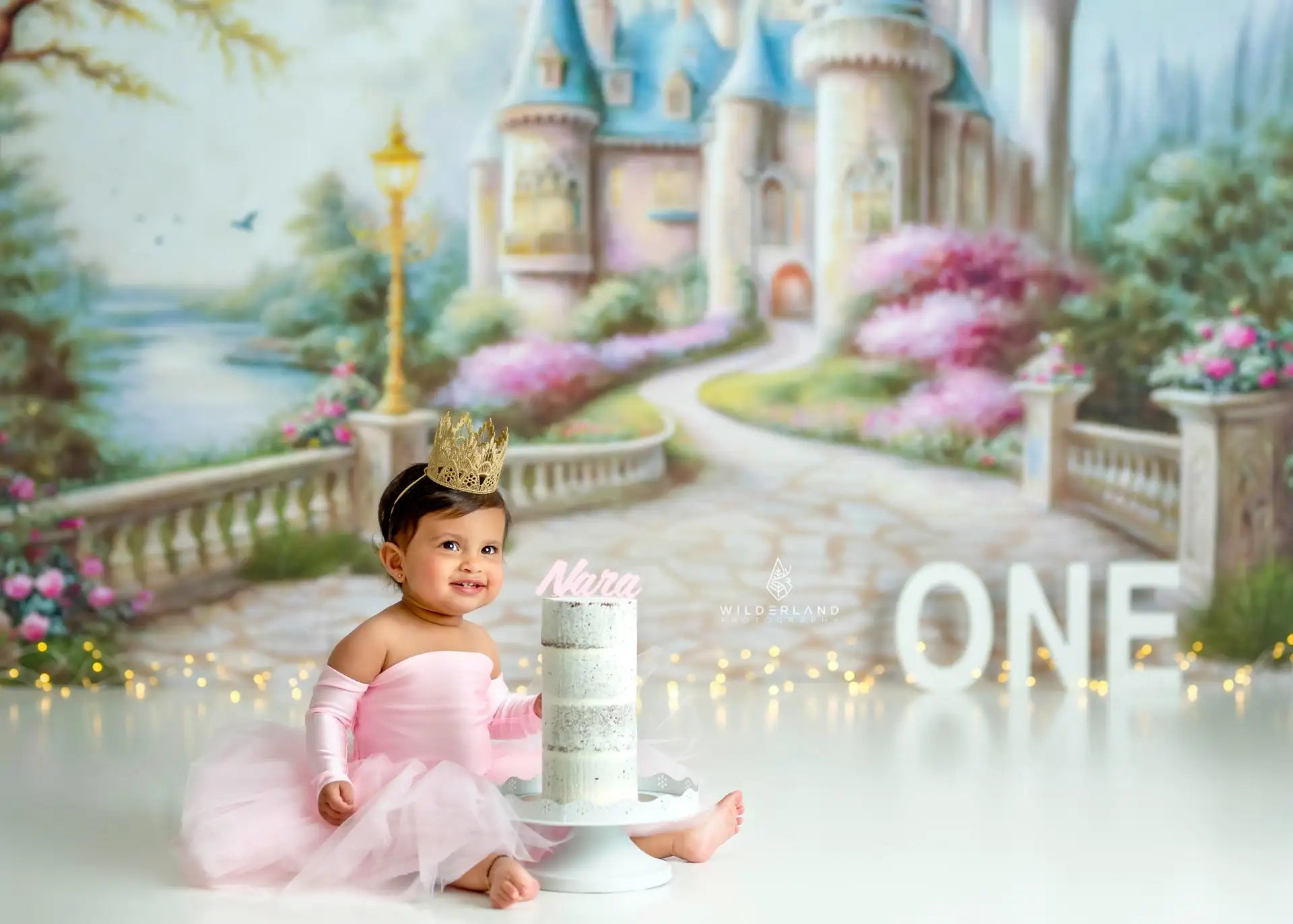 Fantasy Castle Photography Backdrop Kids Baby Cake Smash Photocall Decors Child Adult Birthday Studio Backgrounds